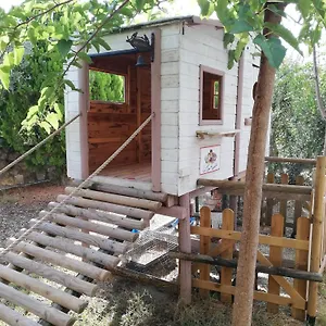 azienda-agrituristica-le-betulle.it-tuscanyhotel.com/